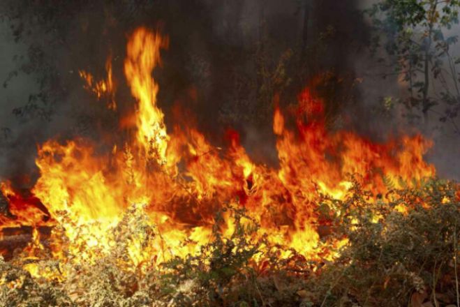 Δεν πήρε έκταση φωτιά στα Δολιανά