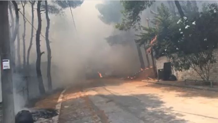 Πυρκαγιά στη Σταμάτα - Οι άνθρωποι εγκαταλείπουν τα σπίτια τους - Δείτε live