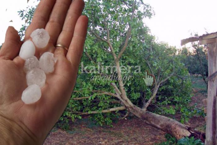 &Epsilon;&Lambda;&Gamma;&Alpha; | &Pi;&lambda;&eta;&rho;ώ&nu;&epsilon;&iota; 58.000 &euro; &sigma;&tau;&eta;&nu; &Alpha;&rho;&kappa;&alpha;&delta;ί&alpha;!