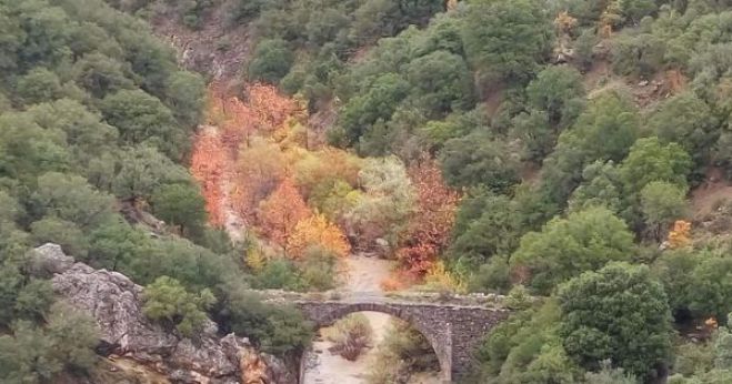 "&Sigma;ώ&sigma;&tau;&epsilon; &tau;&omicron; &gamma;&epsilon;&phi;ύ&rho;&iota; &tau;&eta;&sigmaf; &Gamma;&lambda;ό&gamma;&omicron;&beta;&alpha;&sigmaf;" | &Xi;&epsilon;&kappa;ί&nu;&eta;&sigma;&epsilon; &eta; &sigma;&upsilon;&lambda;&lambda;&omicron;&gamma;ή &upsilon;&pi;&omicron;&gamma;&rho;&alpha;&phi;ώ&nu;!