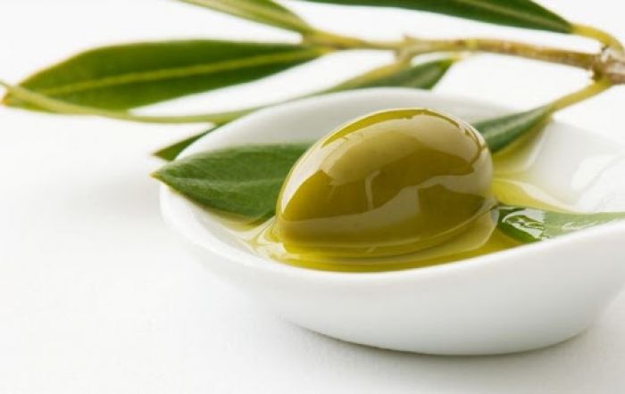 Παπαηλιού: "Εξευτελιστικές τιμές σε λάδι και γάλα. Στα όρια επιβίωσης ελαιοπαραγωγοί και κτηνοτρόφοι σε Κυνουρία και Γορτυνία"