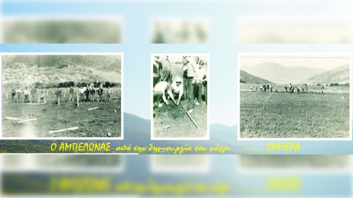 Δεν θα γίνει η Γιορτή Τρύγου στον Παλαιόπυργο