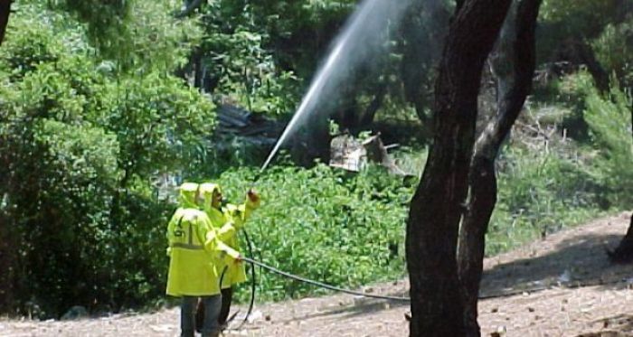 Εργασία | &quot;Ανοίγουν&quot; τρεις θέσεις εργασίας στο πρόγραμμα δακοκτονίας στην Αρκαδία