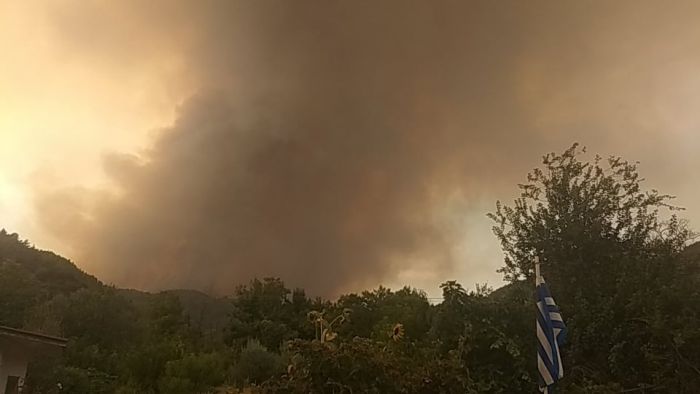 Κάτοικος Γορτυνίας στο «Καλημέρα Αρκαδία»: «Μας εγκατάλειψαν. Κάντε κάτι. Δεν πετάει τίποτα»