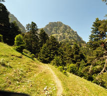 &Epsilon;&xi;ό&rho;&mu;&eta;&sigma;&eta; &sigma;&tau;&omicron;&nu; &Epsilon;&rho;ύ&mu;&alpha;&nu;&theta;&omicron; &alpha;&pi;ό &tau;&omicron;&nu; &Sigma;&Alpha;&Omicron;&Omicron;