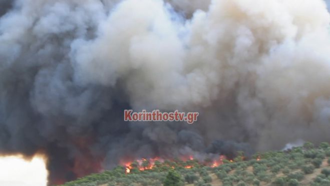 Συγκλονιστικές εικόνες: Σε εξέλιξη πυρκαγιά στο Ρυτό Κορινθίας - Κινδύνεψαν πυροσβέστες (vd)