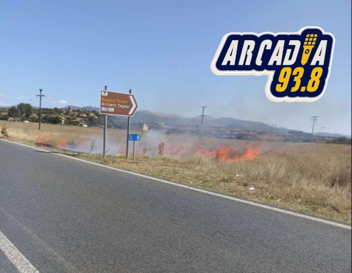 &Tau;&rho;ί&pi;&omicron;&lambda;&eta; | &Phi;&omega;&tau;&iota;ά &mu;&iota;&kappa;&rho;ή&sigmaf; έ&kappa;&tau;&alpha;&sigma;&eta;&sigmaf; &sigma;&tau;&omicron; &delta;&rho;ό&mu;&omicron; &gamma;&iota;&alpha; &Sigma;&pi;ά&rho;&tau;&eta; (vd)