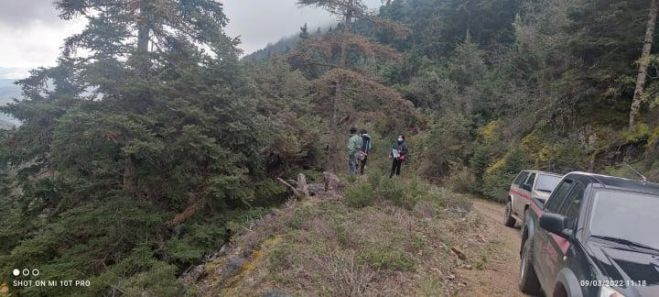 &Nu;&epsilon;&kappa;&rho;ώ&nu;&omicron;&upsilon;&nu; &tau;&alpha; έ&lambda;&alpha;&tau;&alpha; &sigma;&tau;&omicron;&nu; &Pi;ά&rho;&nu;&omega;&nu;&alpha;