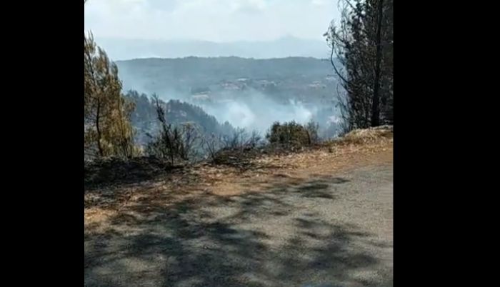 Νέες αναζωπυρώσεις στη Γορτυνία – «Απειλείται το Νεοχώρι» (vd)