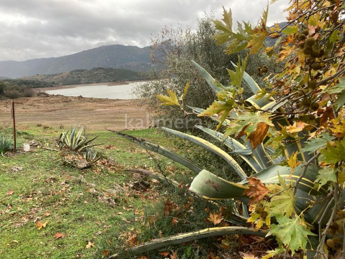 Ο ήρεμος χειμερινός Λάδωνας ... μέσα από εικόνες!