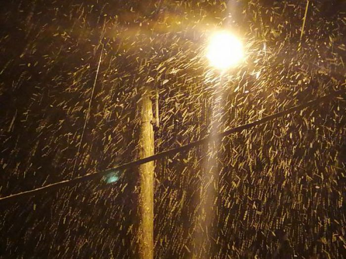 Δυνατή χιονόπτωση νωρίς τη νύχτα στη Γορτυνία (vd)