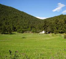 &Kappa;&alpha;&theta;&alpha;&rho;&iota;&sigma;&mu;ό &tau;&mu;ή&mu;&alpha;&tau;&omicron;&sigmaf; &tau;&omicron;&upsilon; &delta;ά&sigma;&omicron;&upsilon;&sigmaf; &Sigma;&omicron;&phi;&iota;&kappa;&omicron;ύ &Kappa;&omicron;&rho;&iota;&nu;&theta;ί&alpha;&sigmaf; &delta;&iota;&omicron;&rho;&gamma;&alpha;&nu;ώ&nu;&epsilon;&iota; &eta; &Pi;&epsilon;&rho;&iota;&phi;έ&rho;&epsilon;&iota;&alpha;