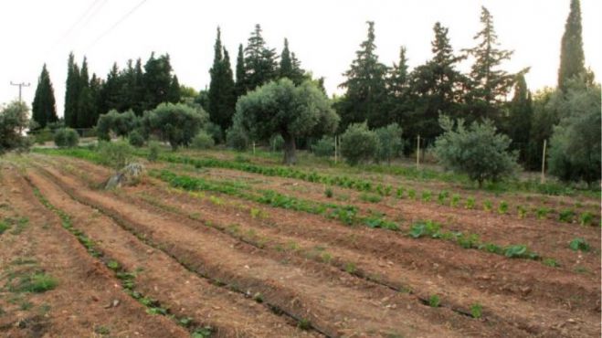 &Epsilon;&pi;&iota;&chi;&epsilon;&iota;&rho;&eta;&mu;&alpha;&tau;ί&alpha;&sigmaf; &delta;&epsilon;&nu; &mu;&pi;&omicron;&rho;&epsilon;ί &nu;&alpha; &pi;&omicron;&upsilon;&lambda;ή&sigma;&epsilon;&iota; &gamma;&eta; &epsilon;&pi;&epsilon;&iota;&delta;ή &chi;&rho;&omega;&sigma;&tau;ά &Epsilon;&Nu;&Phi;&Iota;&Alpha; 0,03 &epsilon;&upsilon;&rho;ώ!