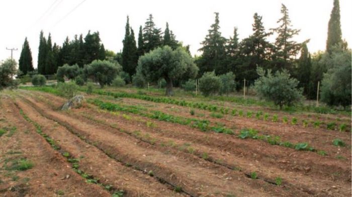 Επιχειρηματίας δεν μπορεί να πουλήσει γη επειδή χρωστά ΕΝΦΙΑ 0,03 ευρώ!