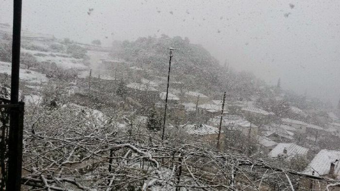 &Chi;&iota;ό&nu;&iota; &kappa;&alpha;&iota; &sigma;&tau;&alpha; &omicron;&rho;&epsilon;&iota;&nu;ά &tau;&eta;&sigmaf; &Nu;ό&tau;&iota;&alpha;&sigmaf; &Kappa;&upsilon;&nu;&omicron;&upsilon;&rho;ί&alpha;&sigmaf;! (&epsilon;&iota;&kappa;ό&nu;&epsilon;&sigmaf; - &beta;ί&nu;&tau;&epsilon;&omicron;)