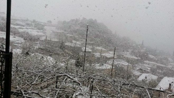 &Chi;&iota;ό&nu;&iota; &kappa;&alpha;&iota; &sigma;&tau;&alpha; &omicron;&rho;&epsilon;&iota;&nu;ά &tau;&eta;&sigmaf; &Nu;ό&tau;&iota;&alpha;&sigmaf; &Kappa;&upsilon;&nu;&omicron;&upsilon;&rho;ί&alpha;&sigmaf;! (&epsilon;&iota;&kappa;ό&nu;&epsilon;&sigmaf; - &beta;ί&nu;&tau;&epsilon;&omicron;)