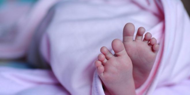 &Mu;&epsilon;&gamma;ά&lambda;&omicron; &epsilon;&nu;&delta;&iota;&alpha;&phi;έ&rho;&omicron;&nu; &nu;&alpha; &upsilon;&iota;&omicron;&theta;&epsilon;&tau;&eta;&theta;&epsilon;ί &tau;&omicron; &mu;&omega;&rho;ό &pi;&omicron;&upsilon; &pi;&epsilon;&tau;ά&chi;&tau;&eta;&kappa;&epsilon; &sigma;&tau;&alpha; &sigma;&kappa;&omicron;&upsilon;&pi;ί&delta;&iota;&alpha; &sigma;&tau;&eta;&nu; &Kappa;&alpha;&lambda;&alpha;&mu;ά&tau;&alpha;