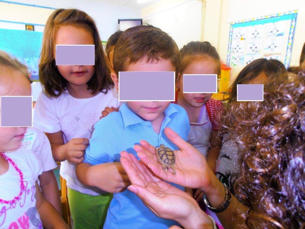 Περιβαλλοντική ενημέρωση νηπίων και μαθητών της Κυνουρίας με αφορμή την Παγκόσμια Ημέρα Χελώνας (εικόνες)!