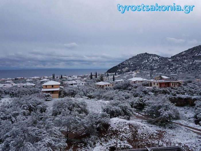 Στα άσπρα ο Τυρός μετά τη βραδινή χιονόπτωση (εικόνες)