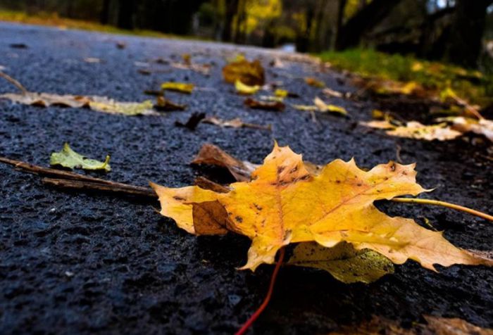 Το Instagram ... αποθεώνει την χειμωνιάτικη Βυτίνα - Δείτε εικόνες!