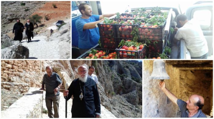 &Epsilon;&kappa;&kappa;&lambda;&eta;&sigma;ί&alpha; | 800 &kappa;&iota;&lambda;ά &rho;&omicron;&delta;ά&kappa;&iota;&nu;&alpha; &gamma;&iota;&alpha; &tau;&omicron; "&Kappa;&alpha;&lambda;ά&theta;&iota; &tau;&omicron;&upsilon; &Pi;&tau;&omega;&chi;&omicron;ύ &Alpha;&delta;&epsilon;&lambda;&phi;&omicron;ύ"