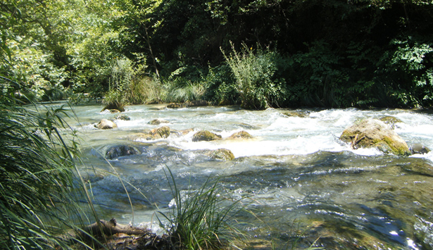 &Tau;&eta;&lambda;&epsilon;&omicron;&pi;&tau;&iota;&kappa;ά &gamma;&upsilon;&rho;ί&sigma;&mu;&alpha;&tau;&alpha; &sigma;&tau;&omicron;&nu; &pi;&omicron;&tau;&alpha;&mu;ό &Lambda;&omicron;ύ&sigma;&iota;&omicron;!
