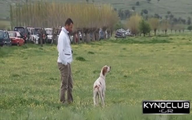&Kappa;&upsilon;&nu;&omicron;&phi;&iota;&lambda;&iota;&kappa;ό &Alpha;&nu;&tau;ά&mu;&omega;&mu;&alpha; &sigma;&tau;&eta; &Nu;&epsilon;&sigma;&tau;ά&nu;&eta;