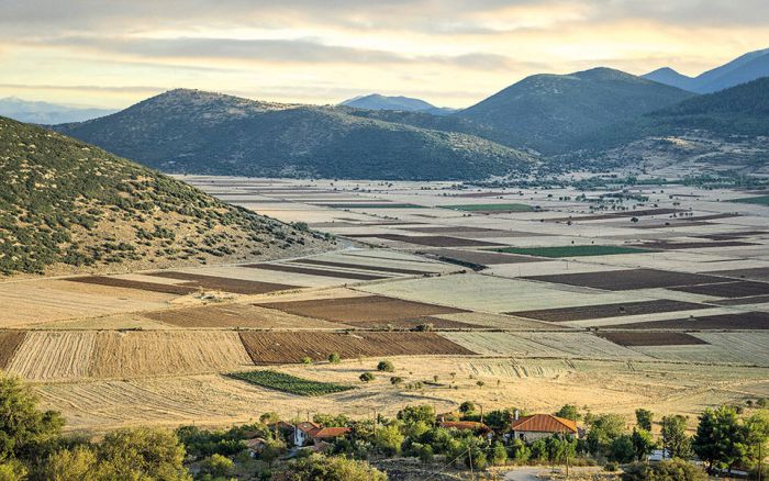 &Alpha;&rho;&kappa;&alpha;&delta;ί&alpha; | &Mu;&epsilon; &tau;&alpha; &alpha;&rho;ώ&mu;&alpha;&tau;&alpha; &tau;&omicron;&upsilon; &Mu;&omicron;&sigma;&chi;&omicron;&phi;ί&lambda;&epsilon;&rho;&omicron;&upsilon;