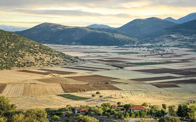 &Alpha;&rho;&kappa;&alpha;&delta;ί&alpha; | &Mu;&epsilon; &tau;&alpha; &alpha;&rho;ώ&mu;&alpha;&tau;&alpha; &tau;&omicron;&upsilon; &Mu;&omicron;&sigma;&chi;&omicron;&phi;ί&lambda;&epsilon;&rho;&omicron;&upsilon;