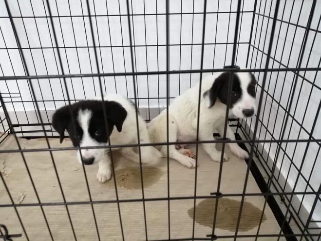 &Upsilon;&iota;&omicron;&theta;&epsilon;&tau;ή&sigma;&tau;&epsilon; &alpha;&upsilon;&tau;ά &tau;&alpha; &kappa;&omicron;&upsilon;&tau;ά&beta;&iota;&alpha; &gamma;&iota;&alpha; &nu;&alpha; ... &mu;&eta;&nu; &mu;&epsilon;ί&nu;&omicron;&upsilon;&nu; &sigma;&tau;&omicron; &delta;&rho;ό&mu;&omicron; (&epsilon;&iota;&kappa;ό&nu;&epsilon;&sigmaf;)