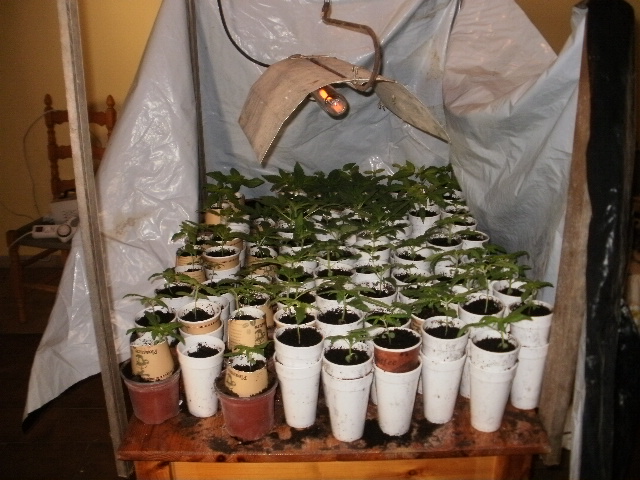 &Epsilon;&xi;&alpha;&rho;&theta;&rho;ώ&theta;&eta;&kappa;&alpha;&nu; &epsilon;&gamma;&kappa;&lambda;&eta;&mu;&alpha;&tau;&iota;&kappa;έ&sigmaf; &omicron;&rho;&gamma;&alpha;&nu;ώ&sigma;&epsilon;&iota;&sigmaf; &sigma;&tau;&eta;&nu; &Pi;&epsilon;&lambda;&omicron;&pi;ό&nu;&nu;&eta;&sigma;&omicron; &gamma;&iota;&alpha; &kappa;&alpha;&lambda;&lambda;&iota;έ&rho;&gamma;&epsilon;&iota;&alpha;, &delta;&iota;&alpha;&kappa;ί&nu;&eta;&sigma;&eta; &kappa;&alpha;&iota; &epsilon;&mu;&pi;&omicron;&rho;ί&alpha; &nu;&alpha;&rho;&kappa;&omega;&tau;&iota;&kappa;ώ&nu;