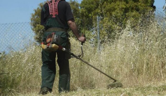 Κοπή κλαδιών και καθαρισμός δρόμων και μονοπατιών στις Δημοτικές Ενότητες Βυτίνας, Δημητσάνας, Ηραίας και Τρικολώνων