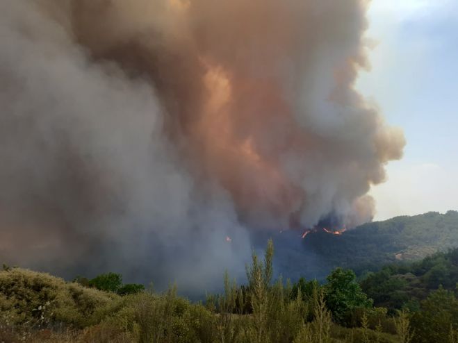 &Gamma;&iota;&alpha; "έ&lambda;&lambda;&epsilon;&iota;&psi;&eta; &sigma;&chi;&epsilon;&delta;&iota;&alpha;&sigma;&mu;&omicron;ύ &kappa;&alpha;&iota; &sigma;&upsilon;&nu;&tau;&omicron;&nu;&iota;&sigma;&mu;&omicron;ύ" &kappa;&alpha;&iota; "&kappa;&upsilon;&beta;&epsilon;&rho;&nu;&eta;&tau;&iota;&kappa;ή &alpha;&nu;&iota;&kappa;&alpha;&nu;ό&tau;&eta;&tau;&alpha;" &mu;&iota;&lambda;ά &omicron; &Pi;&alpha;&pi;&alpha;&eta;&lambda;&iota;&omicron;ύ &tau;&omicron;&upsilon; &Sigma;&Upsilon;&Rho;&Iota;&Zeta;&Alpha;