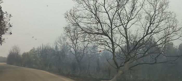 Κρανίου τόπος η Ηραία - Όλα μαύρα και καμένα σε Πυρρί, Λιοδώρα και Χρυσοχώρι (εικόνες)