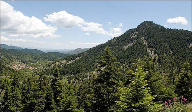 &Sigma;&tau;&omicron; &Mu;&alpha;ί&nu;&alpha;&lambda;&omicron; &theta;&alpha; &pi;&epsilon;&rho;&pi;&alpha;&tau;ή&sigma;&omicron;&upsilon;&nu; &tau;&alpha; &mu;έ&lambda;&eta; &tau;&omicron;&upsilon; &Epsilon;&Omicron;&Sigma; &Tau;&rho;ί&pi;&omicron;&lambda;&eta;&sigmaf;