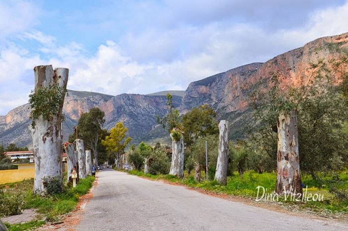 &Kappa;ό&nu;&tau;&upsilon;&nu;&alpha;&nu; &omicron;&iota; &pi;&alpha;&nu;ύ&psi;&eta;&lambda;&omicron;&iota; &epsilon;&upsilon;&kappa;ά&lambda;&upsilon;&pi;&tau;&omicron;&iota; &tau;&omicron;&upsilon; &Lambda;&epsilon;&omega;&nu;&iota;&delta;ί&omicron;&upsilon; (&epsilon;&iota;&kappa;ό&nu;&epsilon;&sigmaf;)