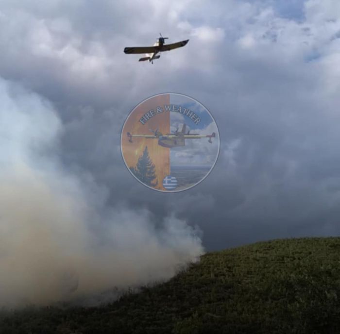 Πυρκαγιά από κεραυνό στην περιοχή Ανεμοδούρι Μεγαλόπολης - Σβήστηκε άμεσα από την πυροσβεστική (vd)