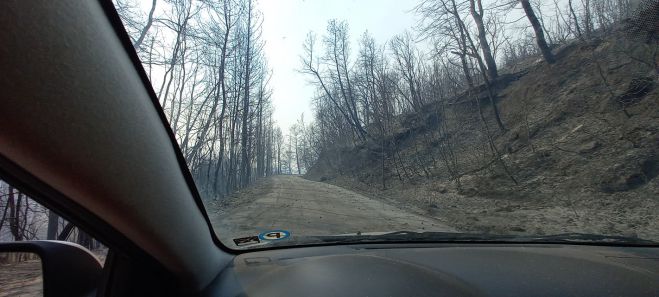 Εταιρεία από τον Πειραιά στέλνει γεννήτρια για την Χώρα Γορτυνίας!