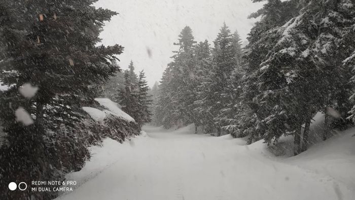 Φρέσκο χιόνι σήμερα στο Χιονοδρομικό Κέντρο Μαινάλου!