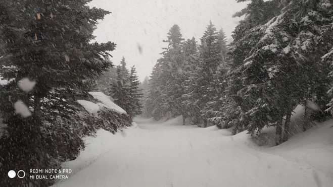 &Phi;&rho;έ&sigma;&kappa;&omicron; &chi;&iota;ό&nu;&iota; &sigma;ή&mu;&epsilon;&rho;&alpha; &sigma;&tau;&omicron; &Chi;&iota;&omicron;&nu;&omicron;&delta;&rho;&omicron;&mu;&iota;&kappa;ό &Kappa;έ&nu;&tau;&rho;&omicron; &Mu;&alpha;&iota;&nu;ά&lambda;&omicron;&upsilon;!