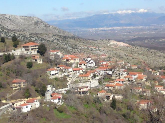 Την παραχώρηση του Δασικού Χωριού στα Δολιανά ζητά ο Δήμος Β. Κυνουρίας!