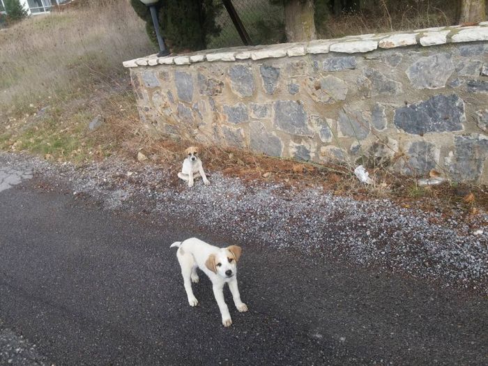 &Gamma;έ&mu;&iota;&sigma;&epsilon; &kappa;&omicron;&upsilon;&tau;ά&beta;&iota;&alpha; &eta; &Tau;&rho;ί&pi;&omicron;&lambda;&eta; - &Upsilon;&iota;&omicron;&theta;&epsilon;&tau;ή&sigma;&tau;&epsilon; &tau;&alpha; &gamma;&iota;&alpha;&tau;ί &kappa;&iota;&nu;&delta;&upsilon;&nu;&epsilon;ύ&omicron;&upsilon;&nu; ...
