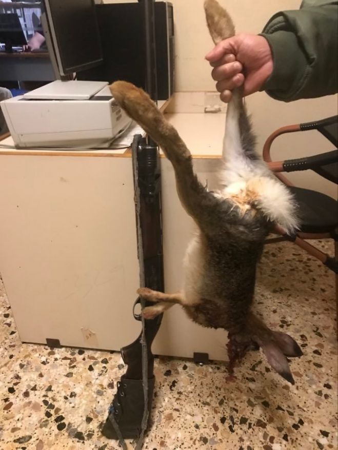 &Sigma;ύ&lambda;&lambda;&eta;&psi;&eta; &gamma;&iota;&alpha; &nu;&upsilon;&chi;&tau;&epsilon;&rho;&iota;&nu;ό &kappa;&upsilon;&nu;ή&gamma;&iota; &sigma;&tau;&eta; &gamma;&epsilon;&iota;&tau;&omicron;&nu;&iota;&kappa;ή &Lambda;&alpha;&kappa;&omega;&nu;ί&alpha;