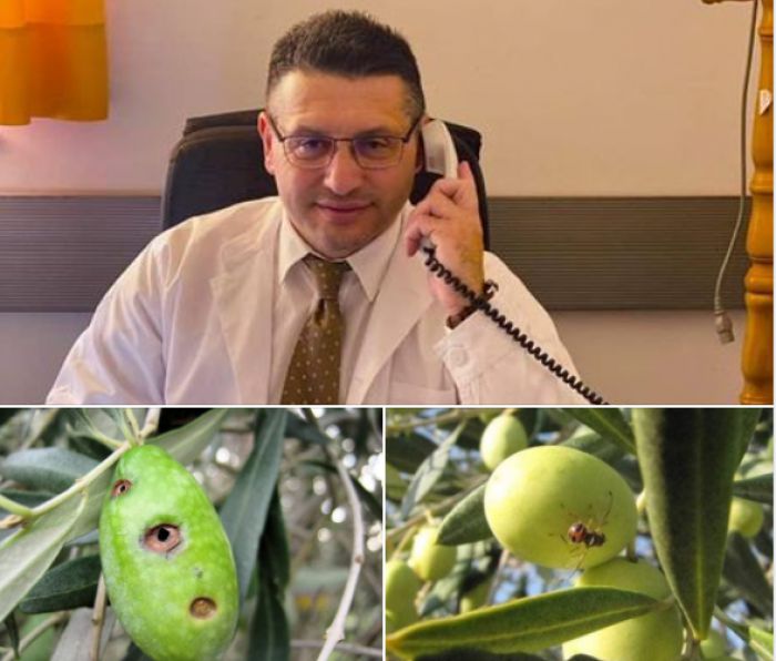 &Tau;&iota; &sigma;&upsilon;&mu;&beta;&alpha;&iota;́&nu;&epsilon;&iota; &mu;&epsilon; &tau;&eta;&nu; &delta;&alpha;&kappa;&omicron;&kappa;&tau;&omicron;&nu;&iota;́&alpha;;