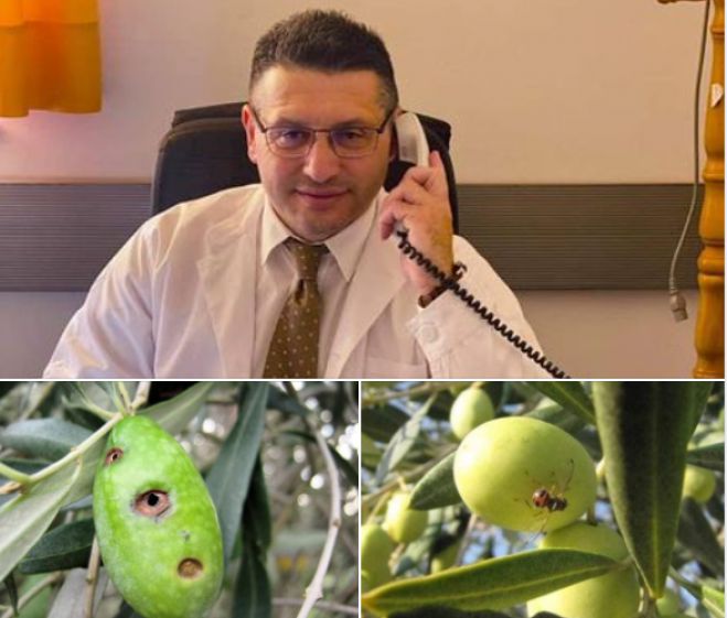 &Tau;&iota; &sigma;&upsilon;&mu;&beta;&alpha;&iota;́&nu;&epsilon;&iota; &mu;&epsilon; &tau;&eta;&nu; &delta;&alpha;&kappa;&omicron;&kappa;&tau;&omicron;&nu;&iota;́&alpha;;