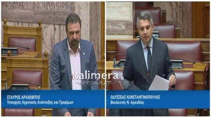 Οδυσσέας: "Σε κανένα ερώτημα δεν απάντησε ο Υπουργός Αγροτικής Ανάπτυξης για τις ζημιές στα αμπέλια"