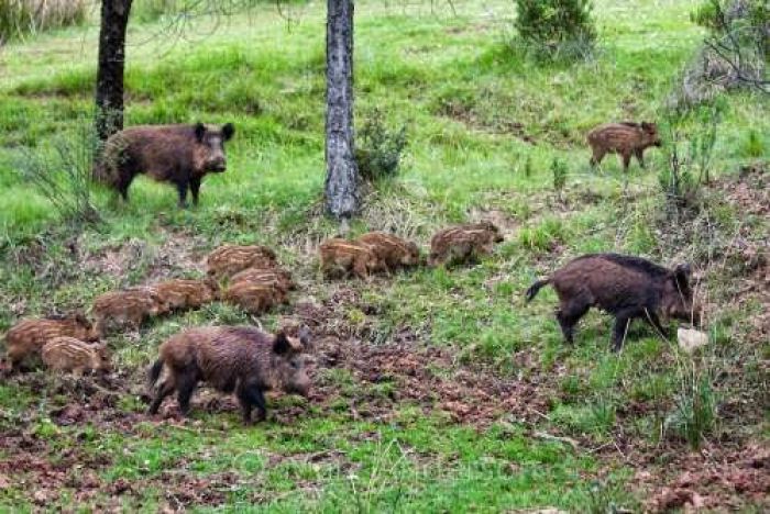 &Mu;&epsilon;&gamma;ά&lambda;&epsilon;&sigmaf; &zeta;&eta;&mu;&iota;έ&sigmaf; &sigma;&epsilon; &kappa;&alpha;&lambda;&lambda;&iota;έ&rho;&gamma;&epsilon;&iota;&epsilon;&sigmaf; - &Alpha;ί&tau;&eta;&mu;&alpha; &gamma;&iota;&alpha; &epsilon;&pi;&iota;&kappa;ή&rho;&upsilon;&xi;&eta; &sigma;&tau;&eta;&nu; &Alpha;&rho;&kappa;&alpha;&delta;ί&alpha;!