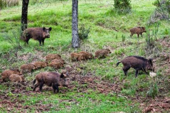 &Mu;&epsilon;&gamma;ά&lambda;&epsilon;&sigmaf; &zeta;&eta;&mu;&iota;έ&sigmaf; &sigma;&epsilon; &kappa;&alpha;&lambda;&lambda;&iota;έ&rho;&gamma;&epsilon;&iota;&epsilon;&sigmaf; - &Alpha;ί&tau;&eta;&mu;&alpha; &gamma;&iota;&alpha; &epsilon;&pi;&iota;&kappa;ή&rho;&upsilon;&xi;&eta; &sigma;&tau;&eta;&nu; &Alpha;&rho;&kappa;&alpha;&delta;ί&alpha;!