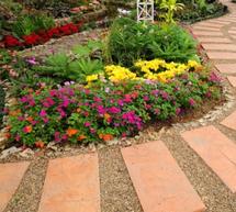 &Beta;ά&lambda;&tau;&epsilon; &chi;&rho;ώ&mu;&alpha;
&sigma;&tau;&omicron;&nu; &kappa;ή&pi;&omicron; &sigma;&alpha;&sigmaf;!