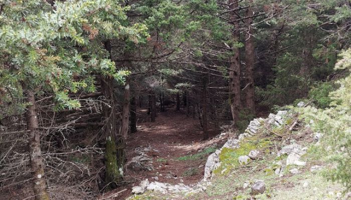 Μονοπάτια του Πάρνωνα με επίκεντρο τον Κοσμά Κυνουρίας! (εικόνες)